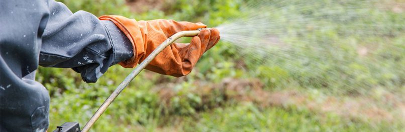 Toxic Environmental Attorney